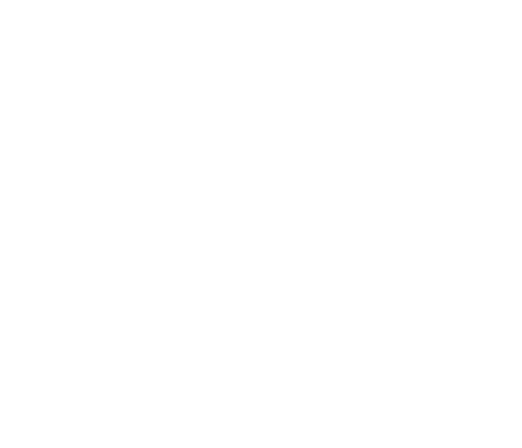 Vitor Guimarães & Filhos