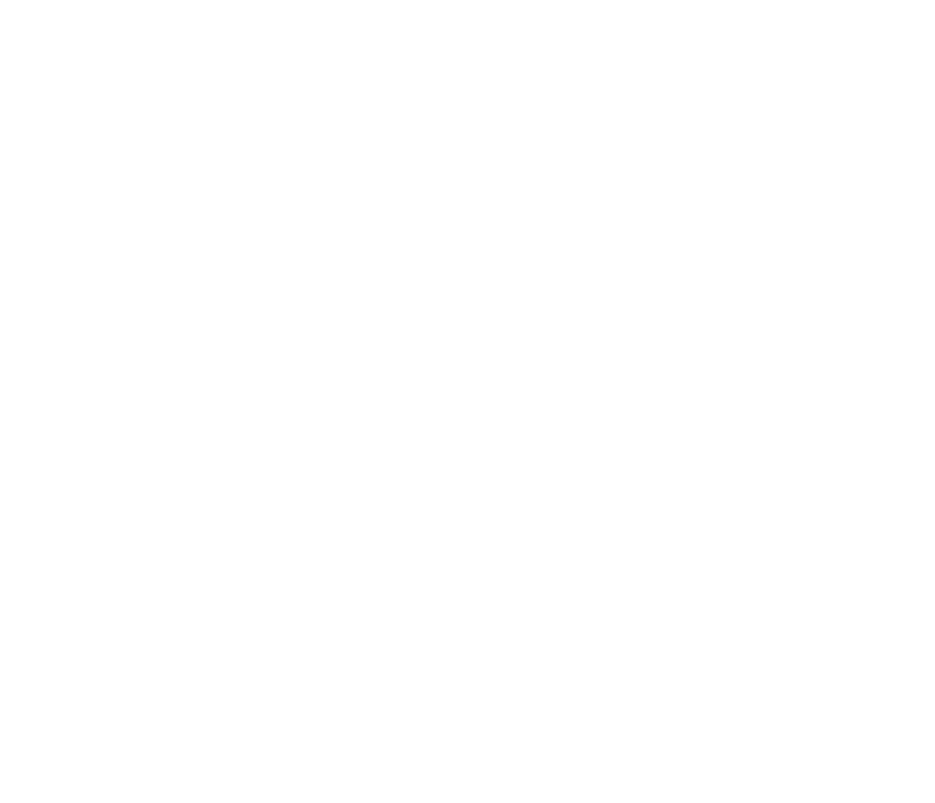 Zook